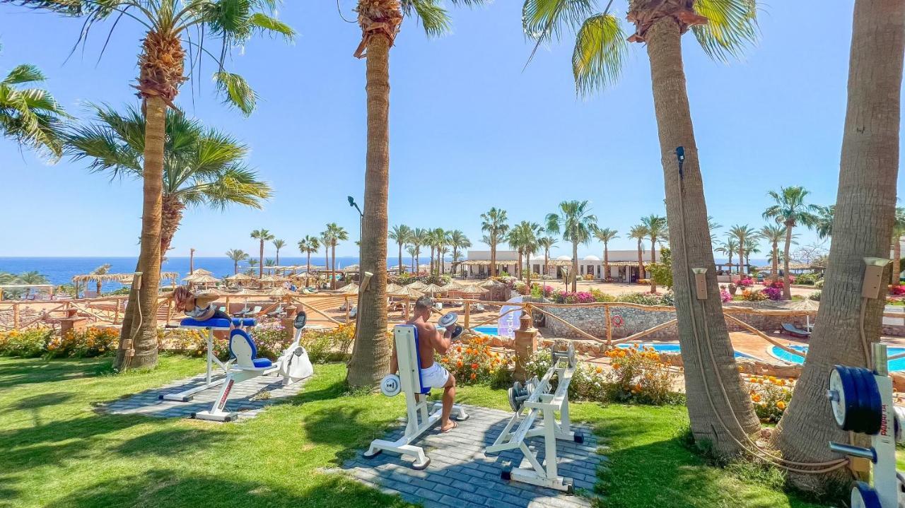 Club Reef Resort & Spa 샤름 엘 셰이크 외부 사진