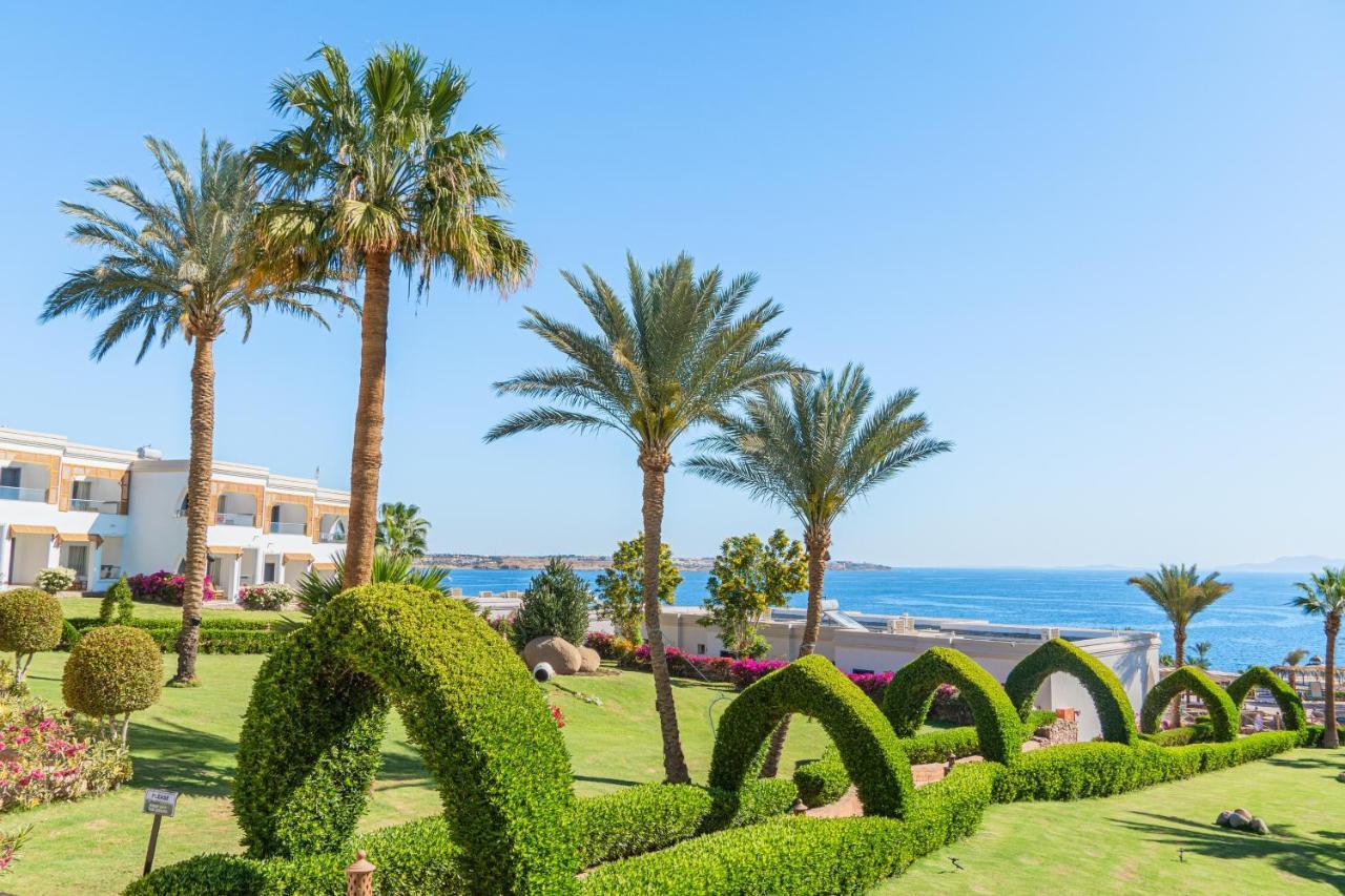 Club Reef Resort & Spa 샤름 엘 셰이크 외부 사진