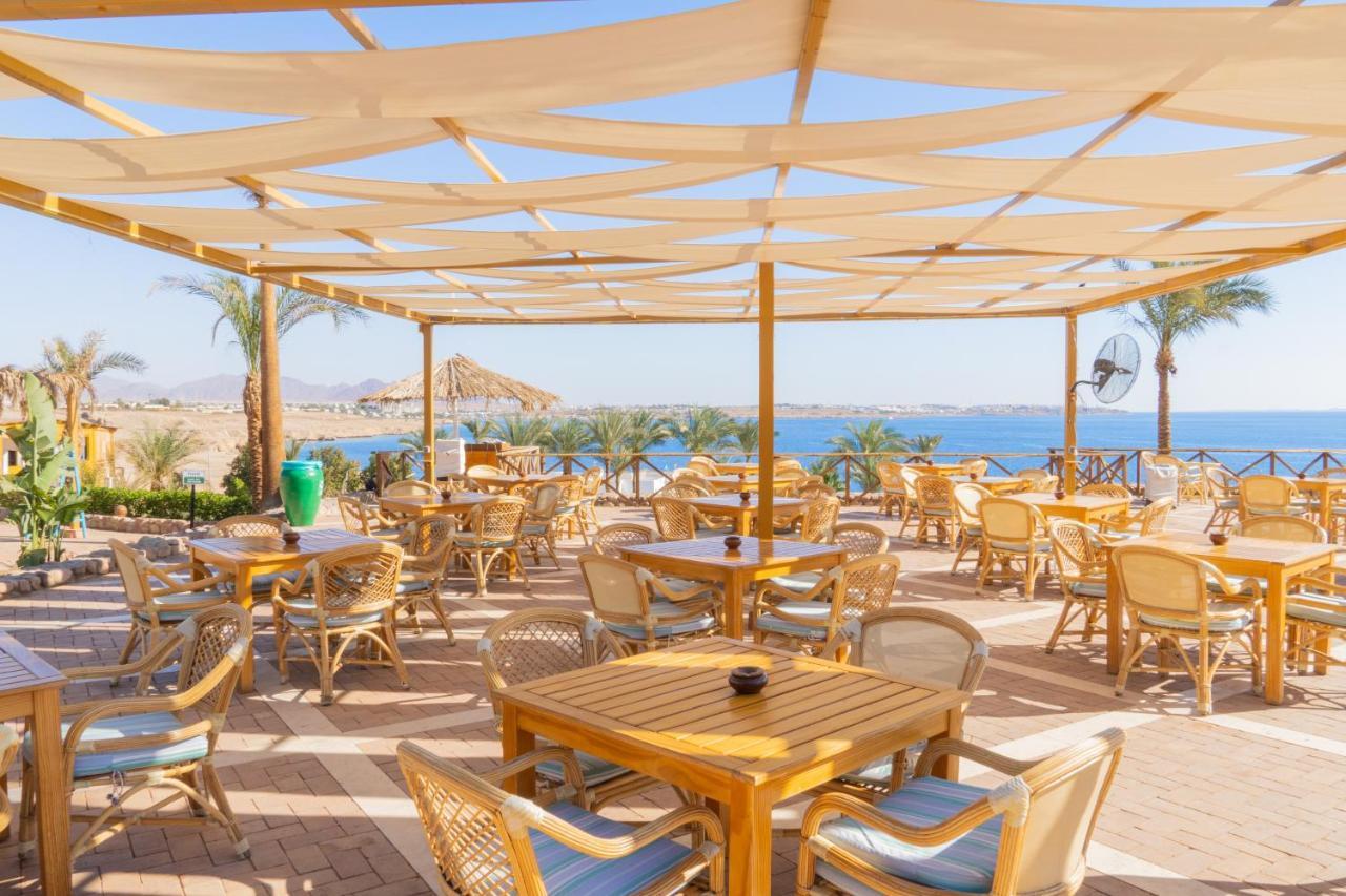 Club Reef Resort & Spa 샤름 엘 셰이크 외부 사진