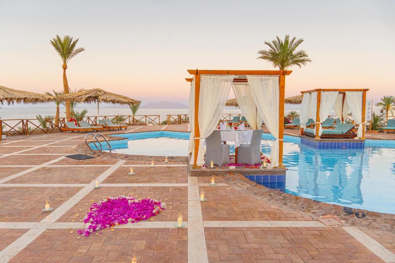 Club Reef Resort & Spa 샤름 엘 셰이크 외부 사진